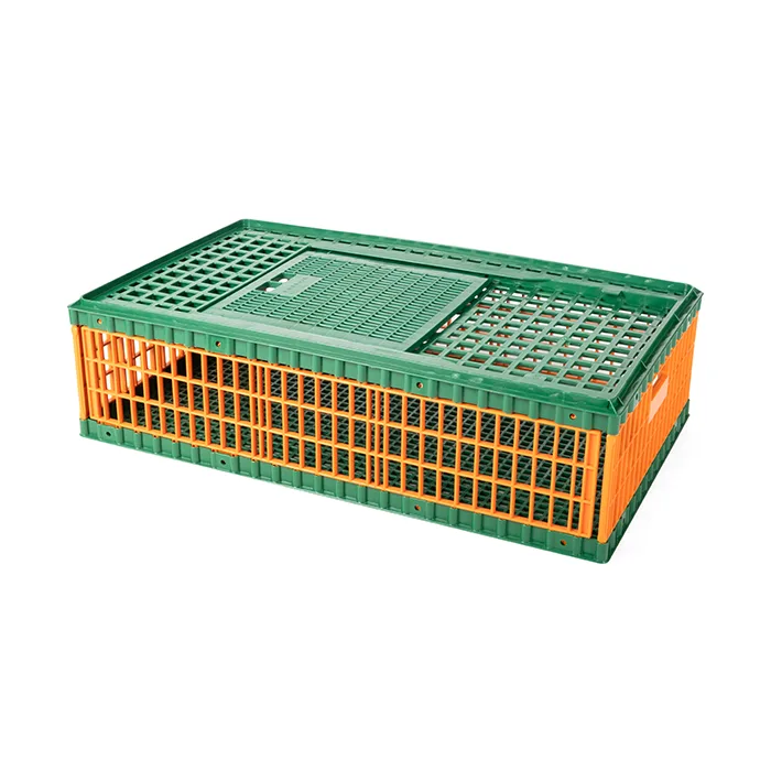 Plastic Poultry Transport Crate (L- 963 mm × W- 573 mm × H- 270 mm)